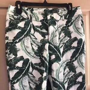 Old Navy Pixies with Palm Print